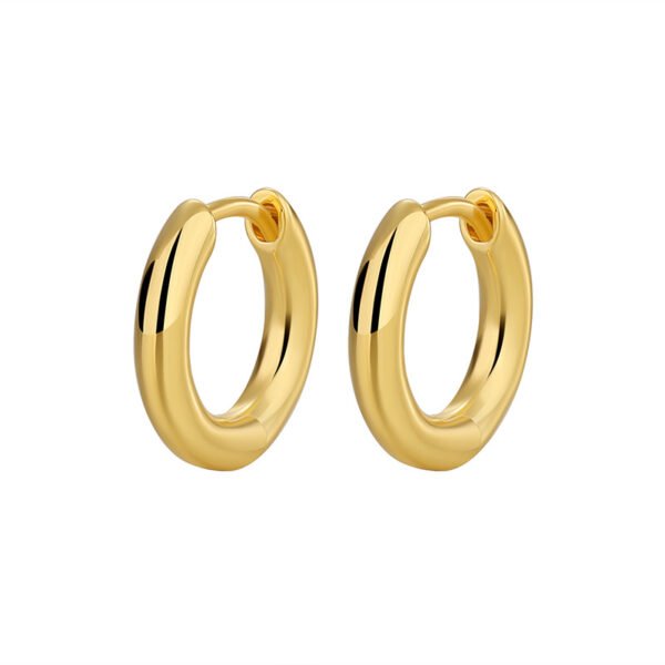 Nordic Minimalist Luxury Plain Hoop Earrings