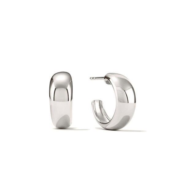 Niche design light-sensitive C-ring earrings