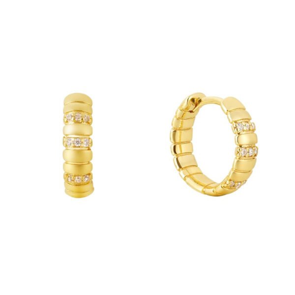 Snake-bone pattern plain hoop earrings