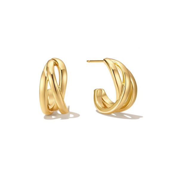 Luxury-inspired earrings